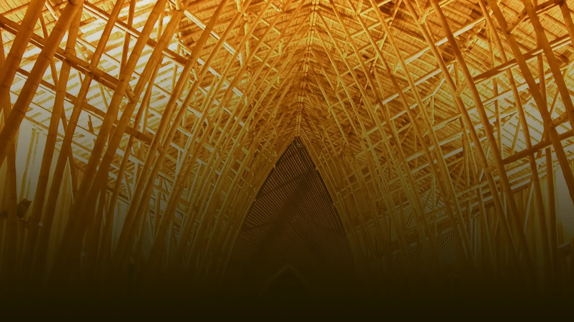 Gira Técnica<br>"Senderos de Guadua"